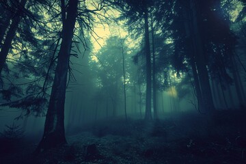 Naklejka premium Foggy Forest A Mysterious Nighttime Adventure Generative AI