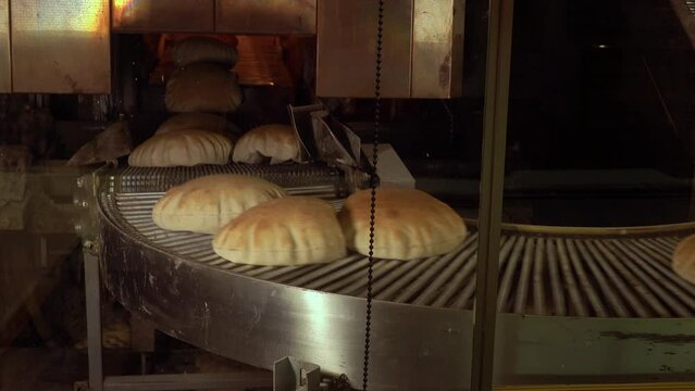 Real time of freshly baked round shaped bread placed on conveyor belt at industrial factory