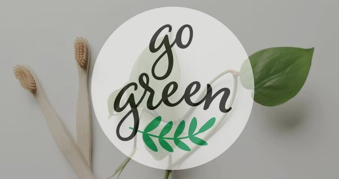 Animation of go green text and leaf logo over wooden toothbrushes and leaves on grey