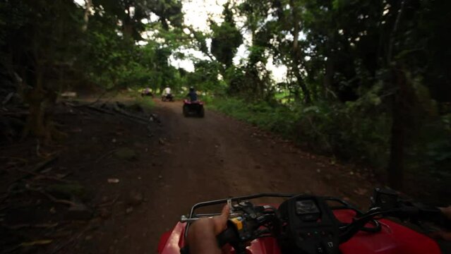Point of view on quad bike - dirt road in Hawaii