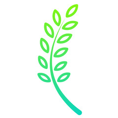 Paddy Gradient Linear Style