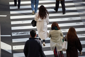 冬の朝の通勤時間の街の交差点の横断歩道を渡る人々の姿