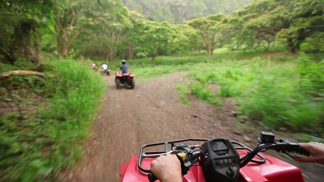 Point of view on four-wheeler in Hawaii