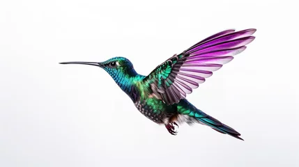 Tapeten Kolibri Graceful Flight: Set of Beautiful Hummingbirds Flying on a White Background