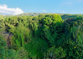 View of the beautiful forested hill from the Pipiwai Trail on the island of Maui, Hawaii, USA