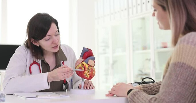 Doctor cardiologist showing structure of human heart to patient on model in clinic 4k movie slow motion. Diagnosis and treatment of heart defects concept