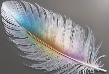 colorful shimmering iridescent feather isolated on a transparent background