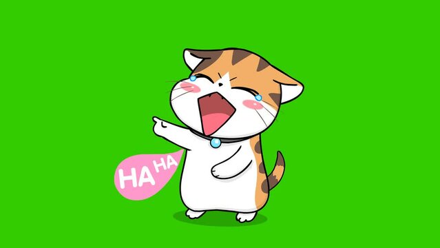 laugh animation orange cute cat on green screen