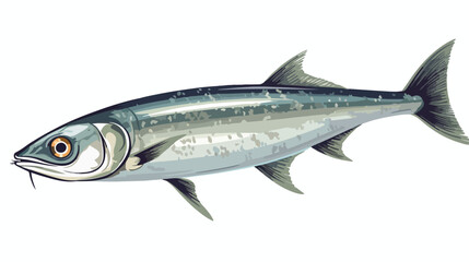 Anchovy fish vector drawing illustration flat vector