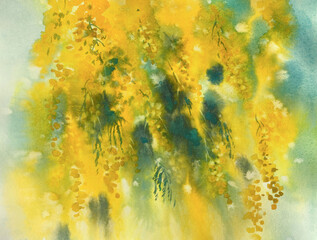Yellow mimosa branches on blue watercolor background