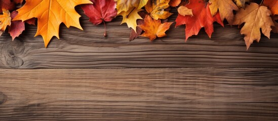 Rustic Wooden Background Adorned with Vibrant Autumn Foliage Leaves