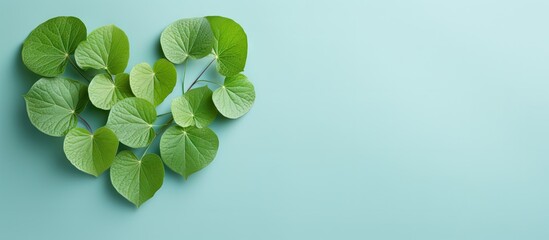 Vivid Heart-Shaped Plant Radiating Love on Vibrant Blue Background