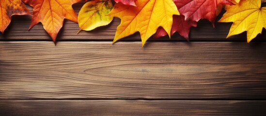 Autumnal Woodland Serenity: Rustic Wooden Background Adorned with Colorful Fall Leaves