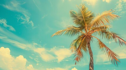 Fototapeta na wymiar Palm tree on tropical beach with blue sky and white clouds abstract background. Copy space of summer vacation and business travel concept. Vintage tone filter effect color style. 