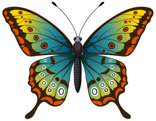 Colorful butterfly with detailed wing patterns