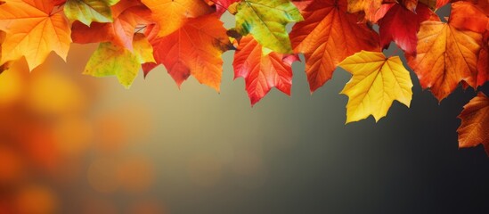 Naklejka na ściany i meble Vibrant Autumn Leaves HD Wallpapers for Seasonal Desktop Backgrounds
