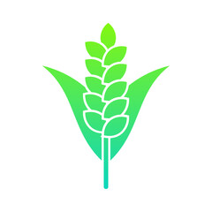 Paddy Flat Gradient Style