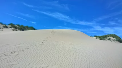 Schilderijen op glas Waves and footprints in the sand, dunes in holland, background © nas