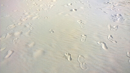 footprints on the white sand in the dunes in Holland, background