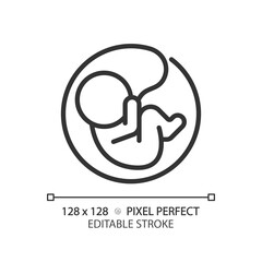 Embryo linear icon. Pregnancy anatomy. Human reproduction biology, childbearing. Maternity womb, baby fetus. Thin line illustration. Contour symbol. Vector outline drawing. Editable stroke