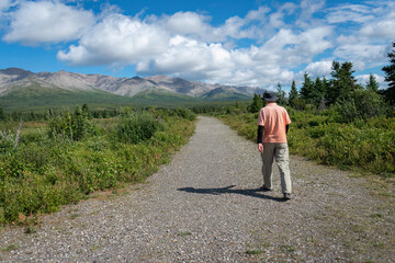 Obraz premium Man walking at Denali National Park and Preserve. Alaska. USA.