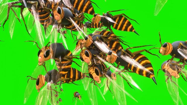 Swarm of wasps attacking you on the chromakey greenback background as 3d modeling objects and materials.