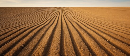 plowed field in autumn