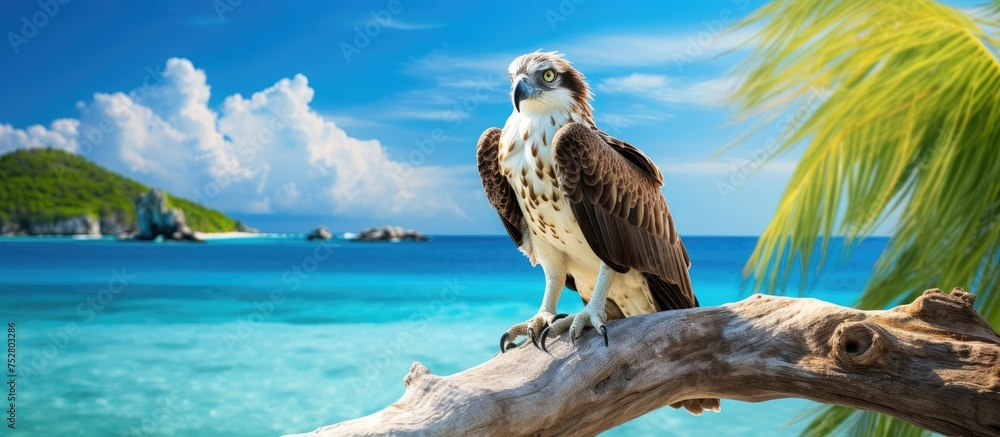 Poster graceful bird resting on a tree limb in a serene nature setting