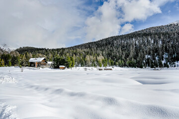 St. Moritz, Stazerwald, Stazersee, Lej da Staz, Rosatschgruppe, Langlauf, Langlaufloipe, Langläufer, Holzsteg, Winter, Wintersport, Schneedecke, Wanderweg, Oberengadin, Alpen, Graubünden, Schweiz 