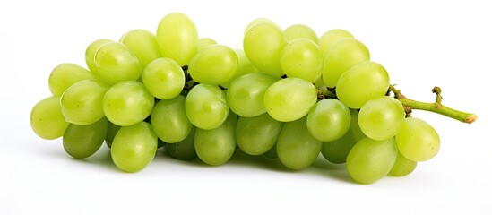Abundance of Luscious Green Grapes Freshly Harvested in Vibrant Vineyard
