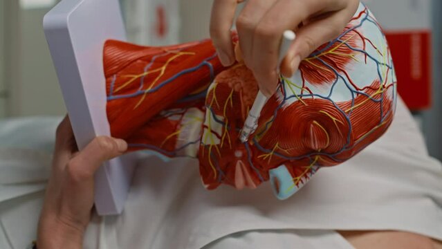 The plastic surgeon shows on the model where the operation will be performed. A woman at an appointment for facial surgery. High quality 4k footage