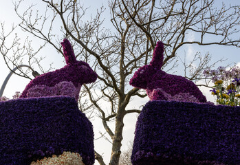  Rabbit made of hyacinths presented before the evening illuminated Flower Parade Bollenstreek in Noordwijkerhout