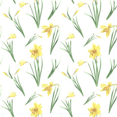 Fototapeta na wymiar Seamless pattern of yellow daffodils with green leaves on white background. Hand drawn watercolor illustration garden spring narcissus. Template for fabric, wallpaper, scrapbooking, wrapping, textile.