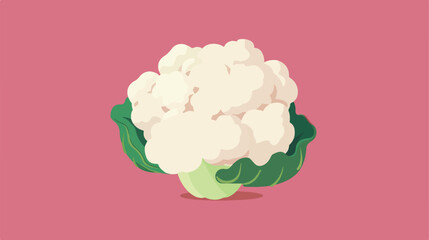 cauliflower icon illustration isolated vector sign sym