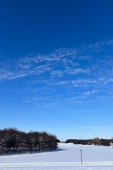 moerenuma park sapporo snow