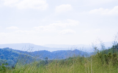 Mountain Summer Green Park Field Scenery Forest Spring Meadow with Blue Sky, Countryside in Thailand Hills Nature Landscape Upper for tourism Travel Vacation Holidays or Eco System Environment.