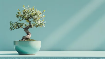 Fotobehang A bonsai tree sits in a blue pot on a table, adding a touch of serenity to the room © zainab