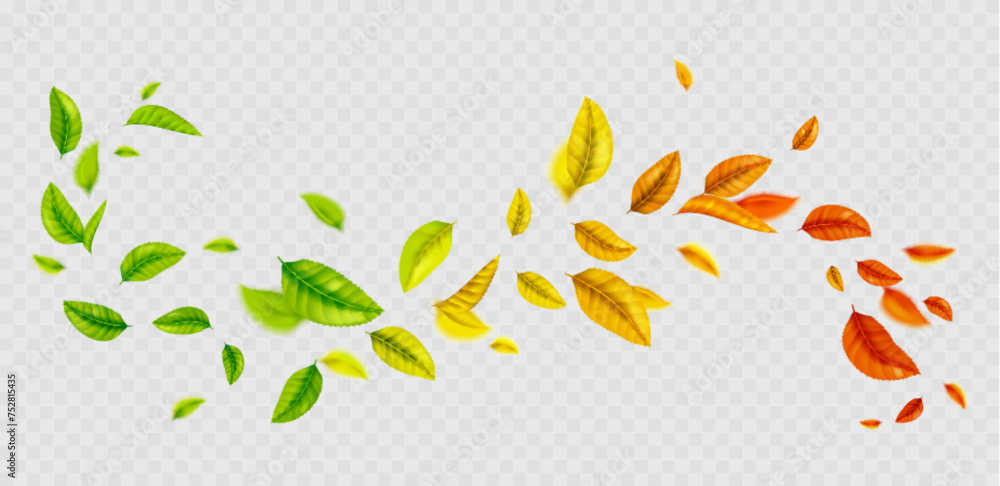 Poster flying gradient colored leaf curly wave line on transparent background. realistic vector illustratio