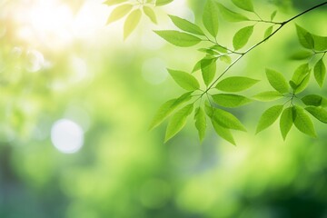 Obraz premium Fresh Spring Leaves Against a Soft Green Background