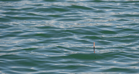 fishing float on the water