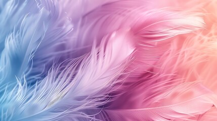 Fototapeta na wymiar pastel colour feather abstract background