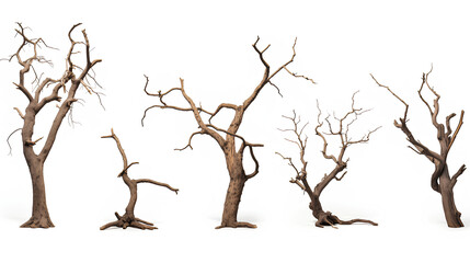 A diverse assortment of leafless trees, distinct in form and structure, isolated on a white background, depicting barrenness.
