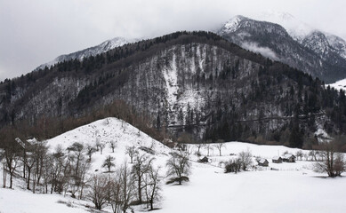 Deep winter snow in Val Pontebbana, north of Pontebba in Udine Province, Friuli-Venezia Giulia,...