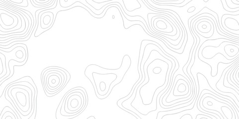 Abstract white topographic map background with lines. Background of the topography map. White wave paper curved reliefs abstract background. The topographic map contour in lines isolated.