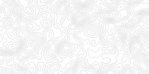 Abstract white topographic map background with lines. Background of the topography map. White wave paper curved reliefs abstract background. The topographic map contour in lines isolated.