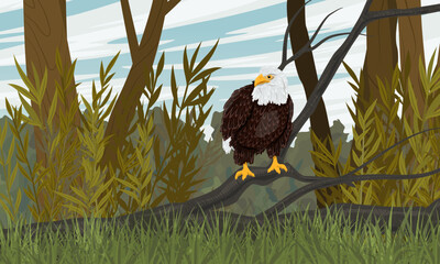 A bald eagle sits on a branch of a fallen tree in a forest clearing. Realistic vector landscapeamerica, american, american eagle, animal, background, bald, bald eagle, bird, bird of prey, branch, carn