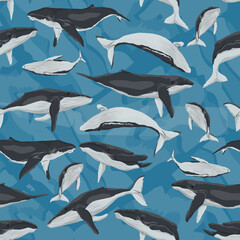 Seamless pattern with humpback whales. Realistic secondary aquatic mammals Megaptera novaeangliae. Vector animals