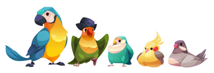 Color birds set isolated on white background. Vector cartoon illustration of exotic cockatoo parrot, comic feathered mascot in pirate hat, gray dove and yellow canary sitting, tropical design elements