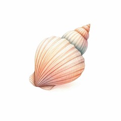 Fototapeta premium Collecting seashells. watercolor illustration, Perfect for nursery art, illustration of seashell isolated on white background.