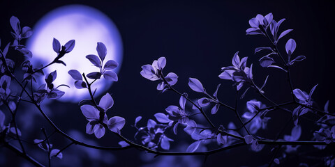 Silhouetted leaves against luminous full moon at night